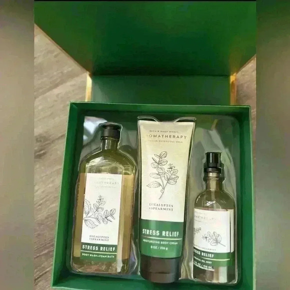 Bath & Body Works Eucalyptus Spearmint Stress Relief 3pc Set Wash Cream Mist - Picture 2 of 6